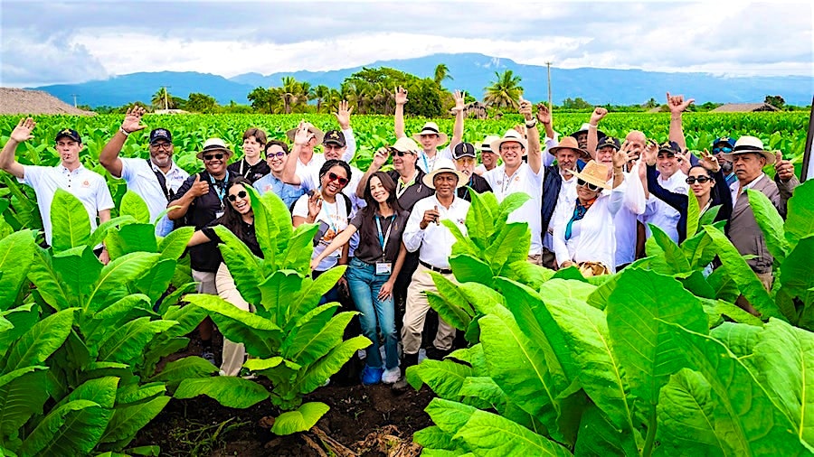 ProCigar Festival: An Annual Celebration of Cigar Craftsmanship